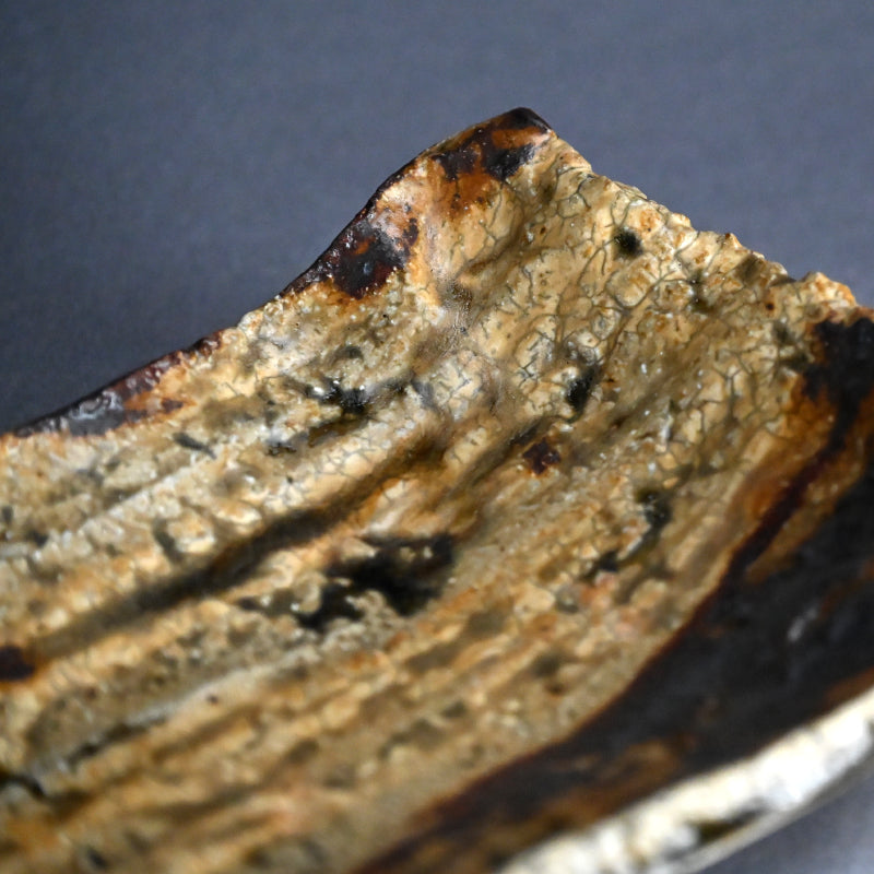 Fabulous Ash Glazed Serving Plate ー加古 勝己 “灰被雫紋大皿”