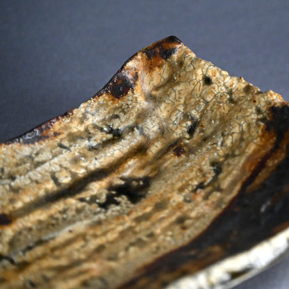 Fabulous Ash Glazed Serving Plate ー加古 勝己 “灰被雫紋大皿”