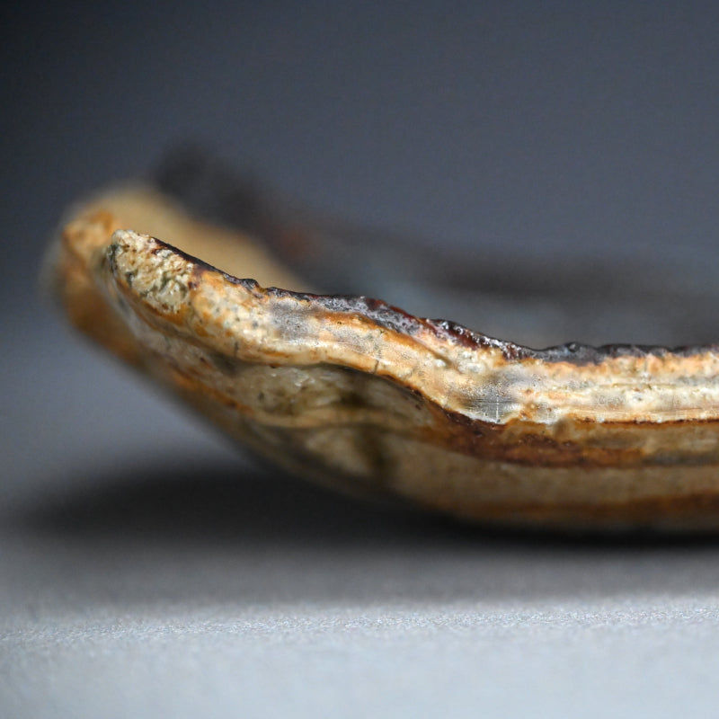 Ash Glazed Serving Plate ー加古 勝己 “灰被雫紋大皿”