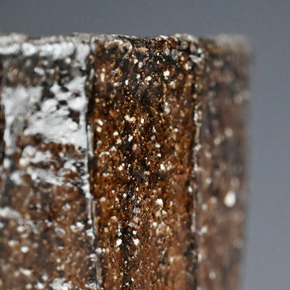 Rugged Mizusashi for Matcha Tea Ceremony ー加古 勝己 “灰被水指”