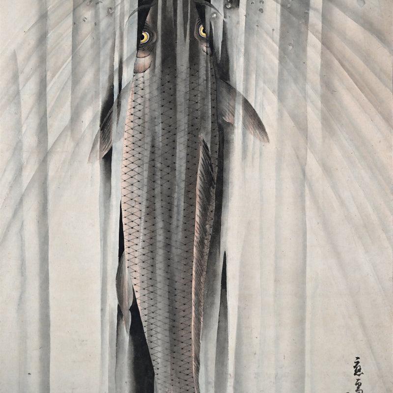 Edo p. Koi Nobori Leaping Carp Pair of Kishi School Scrolls ー“鯉瀧登二幅"