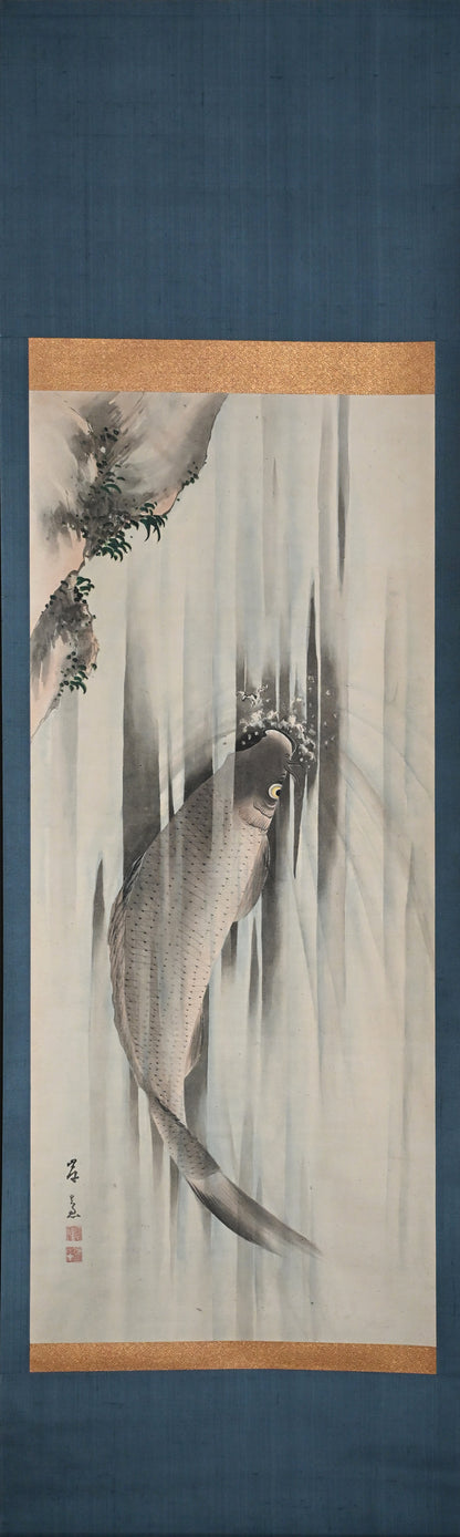 Edo p. Koi Nobori Leaping Carp Pair of Kishi School Scrolls ー“鯉瀧登二幅"