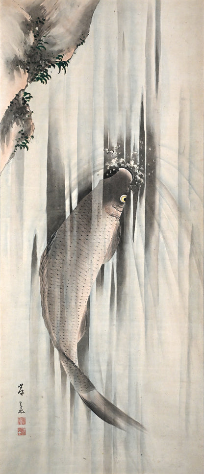 Edo p. Koi Nobori Leaping Carp Pair of Kishi School Scrolls ー“鯉瀧登二幅"