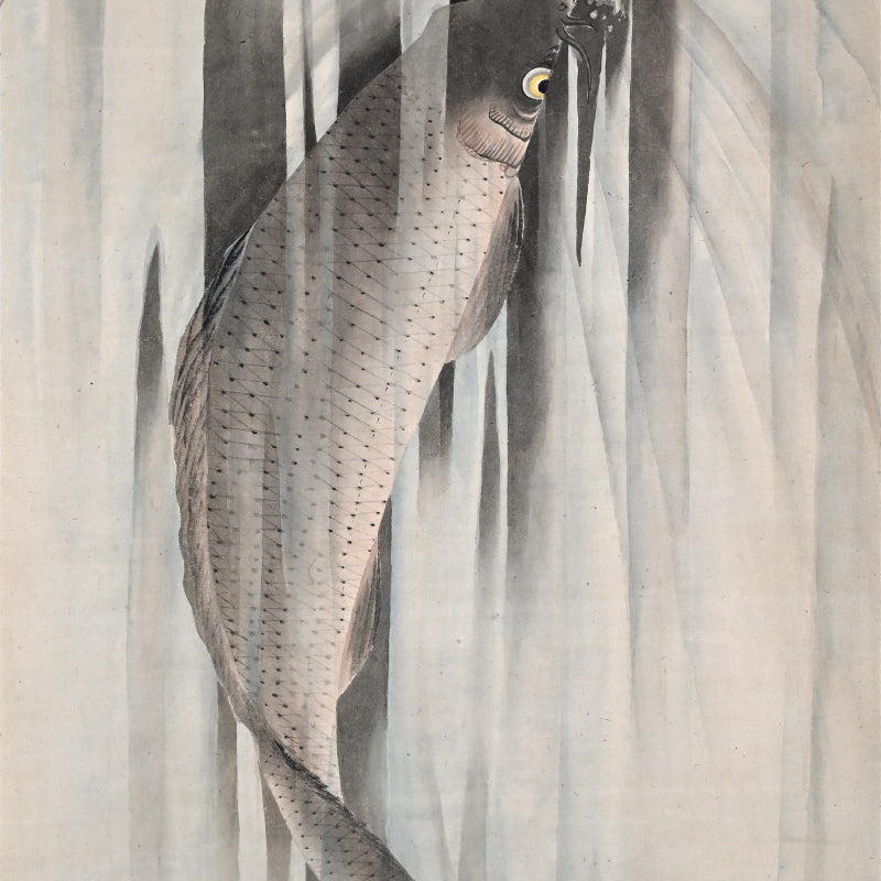 Edo p. Koi Nobori Leaping Carp Pair of Kishi School Scrolls ー“鯉瀧登二幅"