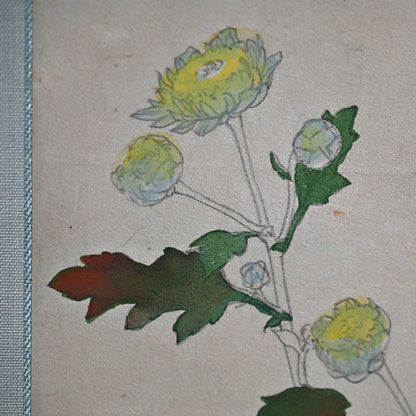 Hanging Scroll, Wild Chrysanthemum Sketch ー野村 耕 "野菊"