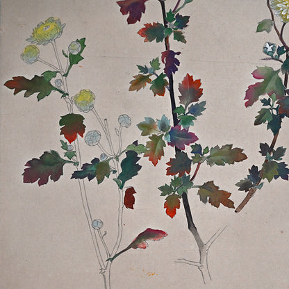 Hanging Scroll, Wild Chrysanthemum Sketch ー野村 耕 "野菊"