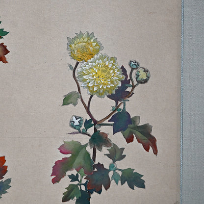 Hanging Scroll, Wild Chrysanthemum Sketch ー野村 耕 "野菊"