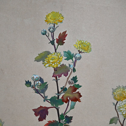 Hanging Scroll, Wild Chrysanthemum Sketch ー野村 耕 "野菊"