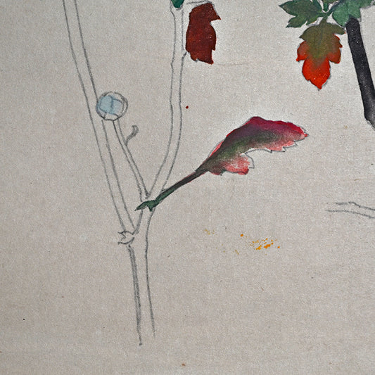 Hanging Scroll, Wild Chrysanthemum Sketch ー野村 耕 "野菊"