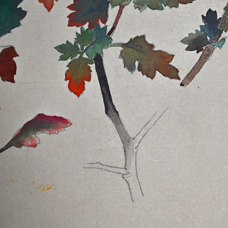 Hanging Scroll, Wild Chrysanthemum Sketch ー野村 耕 "野菊"