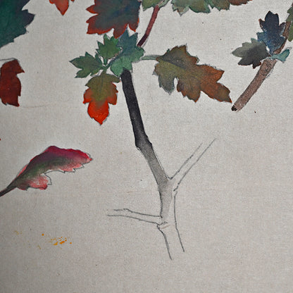 Hanging Scroll, Wild Chrysanthemum Sketch ー野村 耕 "野菊"
