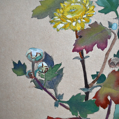 Hanging Scroll, Wild Chrysanthemum Sketch ー野村 耕 "野菊"