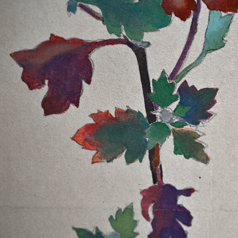 Hanging Scroll, Wild Chrysanthemum Sketch ー野村 耕 "野菊"