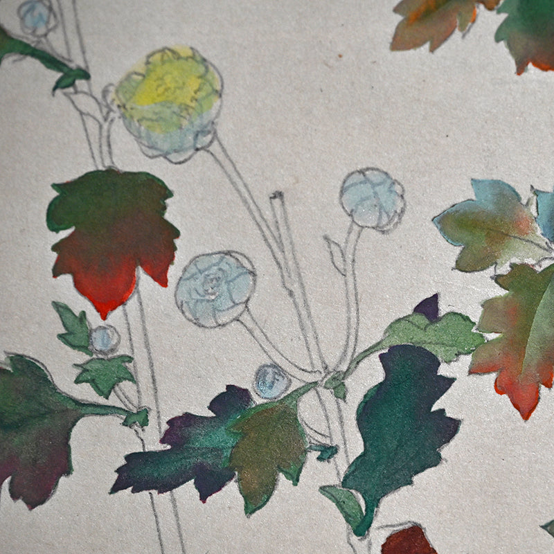 Hanging Scroll, Wild Chrysanthemum Sketch ー野村 耕 "野菊"
