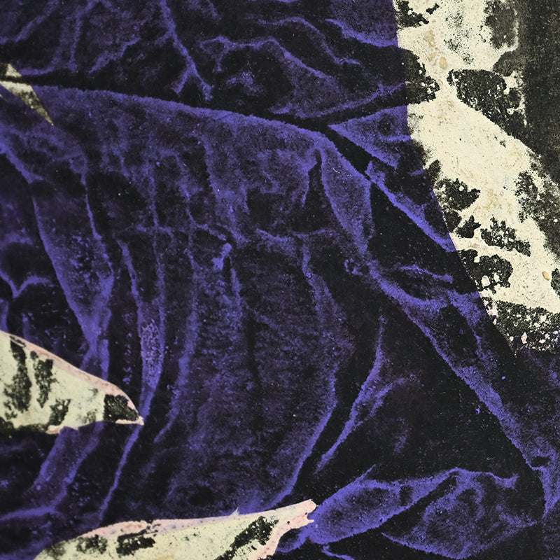 Untitled Monotype 55 ー野村 耕