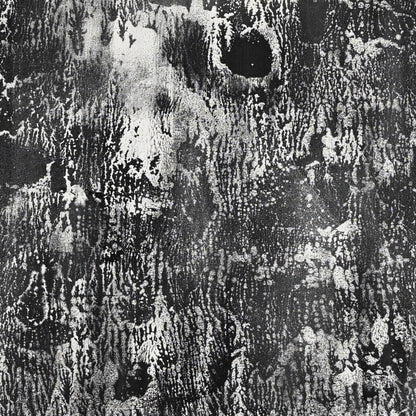 Untitled Monotype, 66 ー野村 耕
