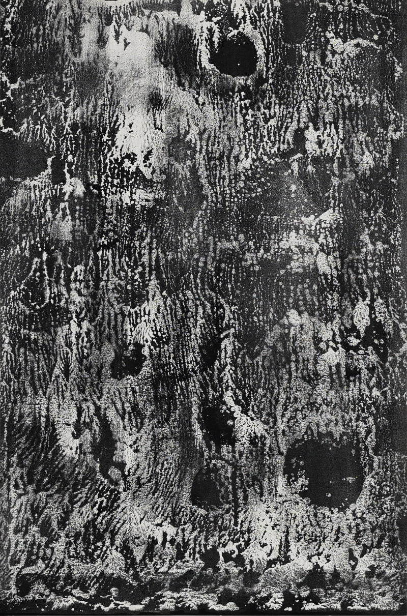 Untitled Monotype, 66 ー野村 耕