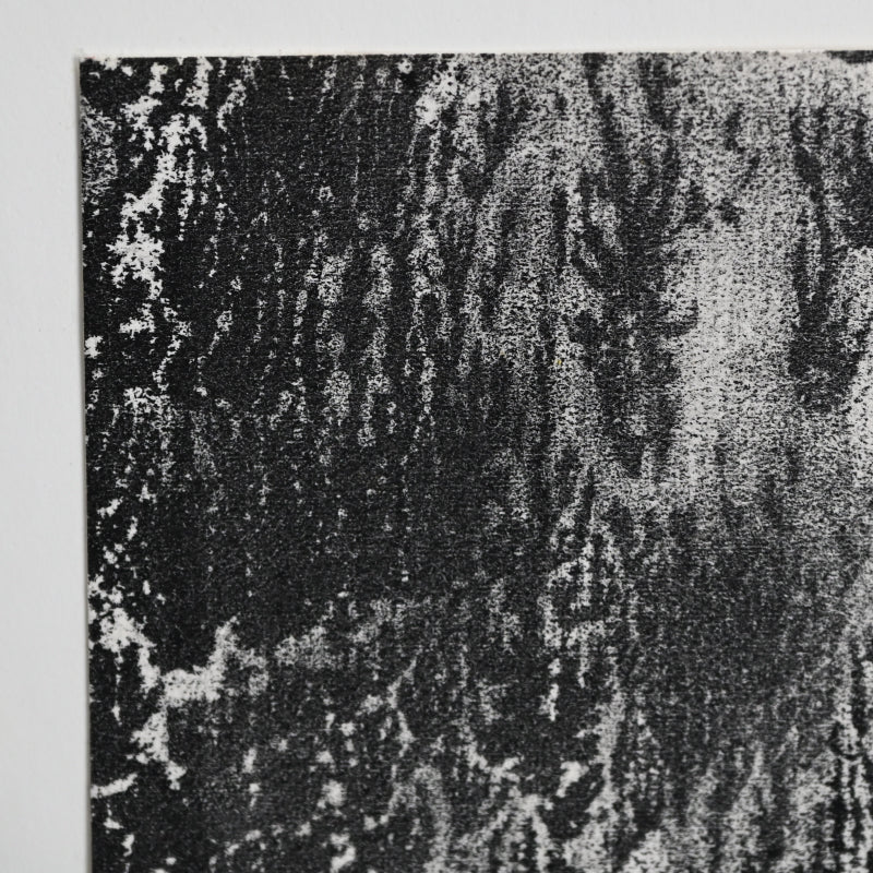 Untitled Monotype, 66 ー野村 耕