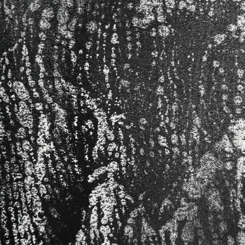Untitled Monotype, 66 ー野村 耕