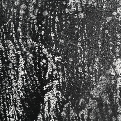 Untitled Monotype, 66 ー野村 耕