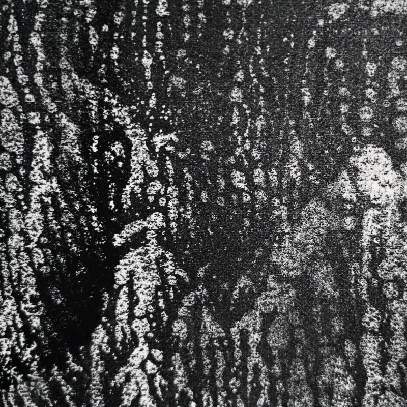 Untitled Monotype, 66 ー野村 耕