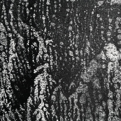 Untitled Monotype, 66 ー野村 耕