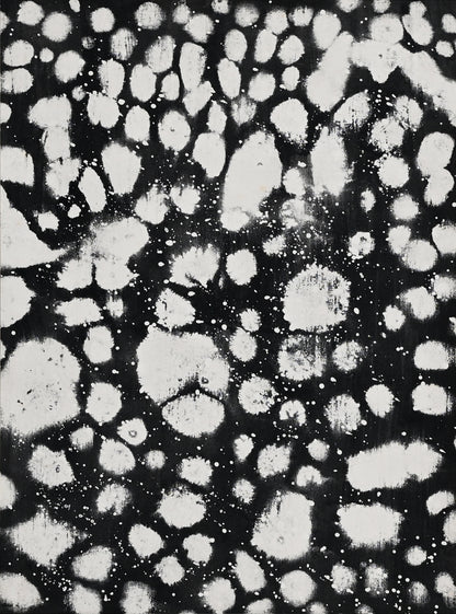 Untitled Monotype 64 ー野村 耕