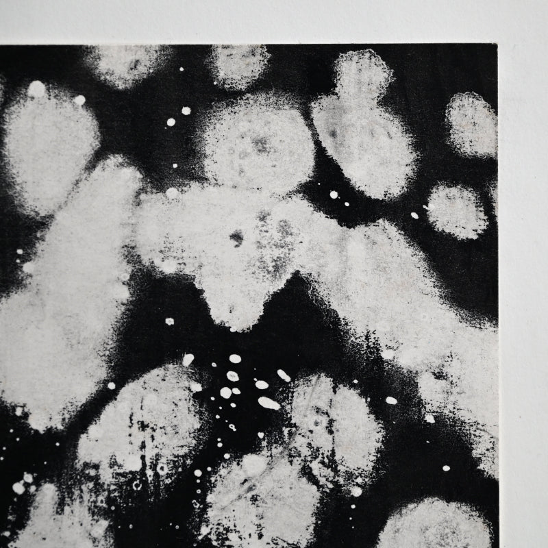 Untitled Monotype 64 ー野村 耕
