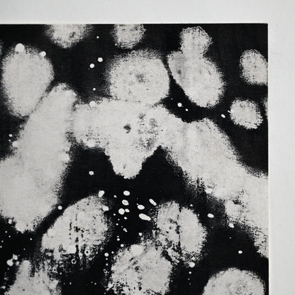 Untitled Monotype 64 ー野村 耕