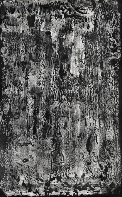 Untitled Monotype, 68 ー野村 耕