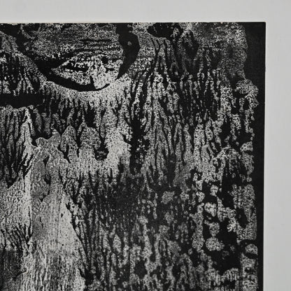 Untitled Monotype, 68 ー野村 耕
