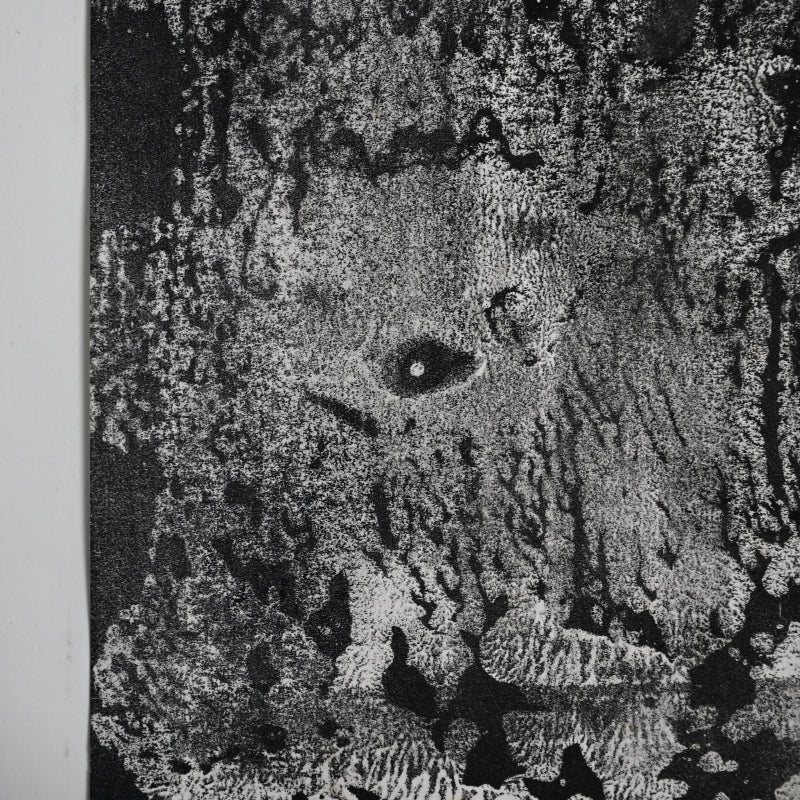 Untitled Monotype, 68 ー野村 耕