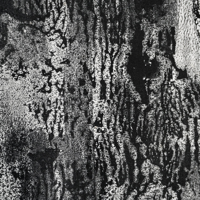 Untitled Monotype, 68 ー野村 耕