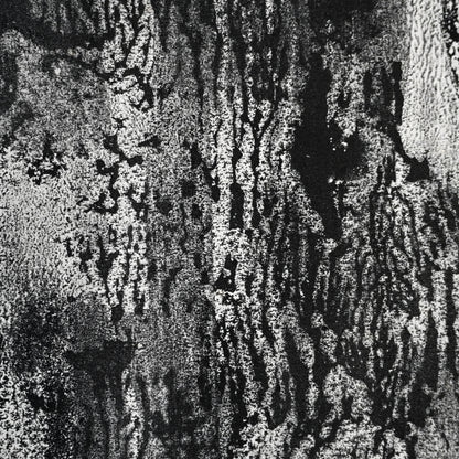 Untitled Monotype, 68 ー野村 耕