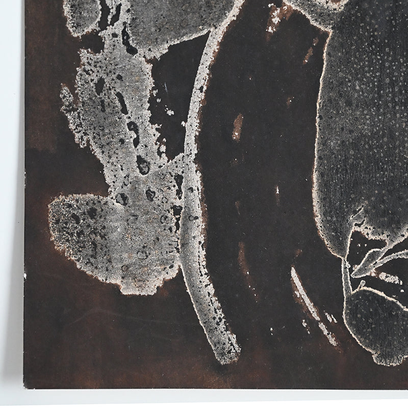 Untitled Monotype, 86 ー野村 耕