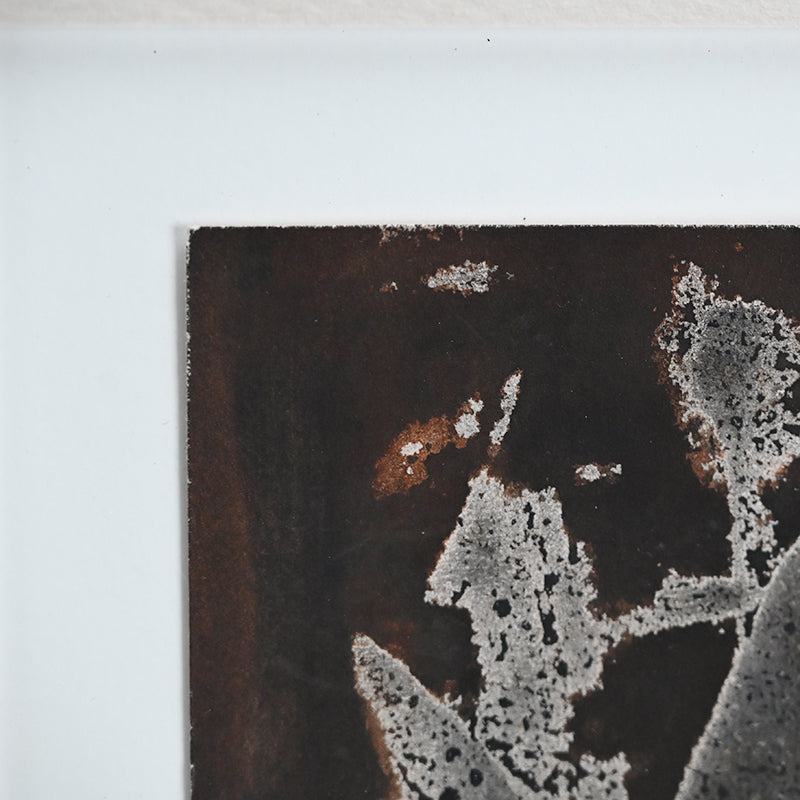 Untitled Monotype, 86 ー野村 耕