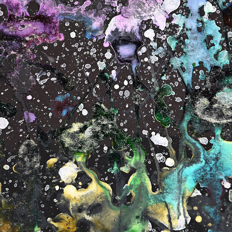 Untitled Monotype, 73 ー野村 耕