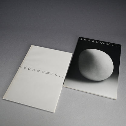 White Sculpture by Female Artist, 1989 ー須賀野 チイ "帰って来たアケラカン"