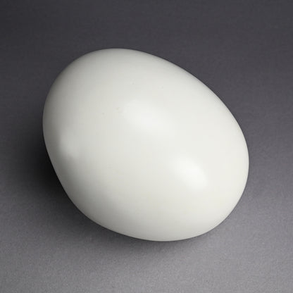 White Sculpture by Female Artist, 1989 ー須賀野 チイ "帰って来たアケラカン"