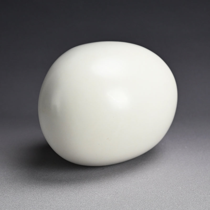 White Sculpture by Female Artist, 1989 ー須賀野 チイ "帰って来たアケラカン"