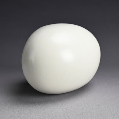 White Sculpture by Female Artist, 1989 ー須賀野 チイ "帰って来たアケラカン"