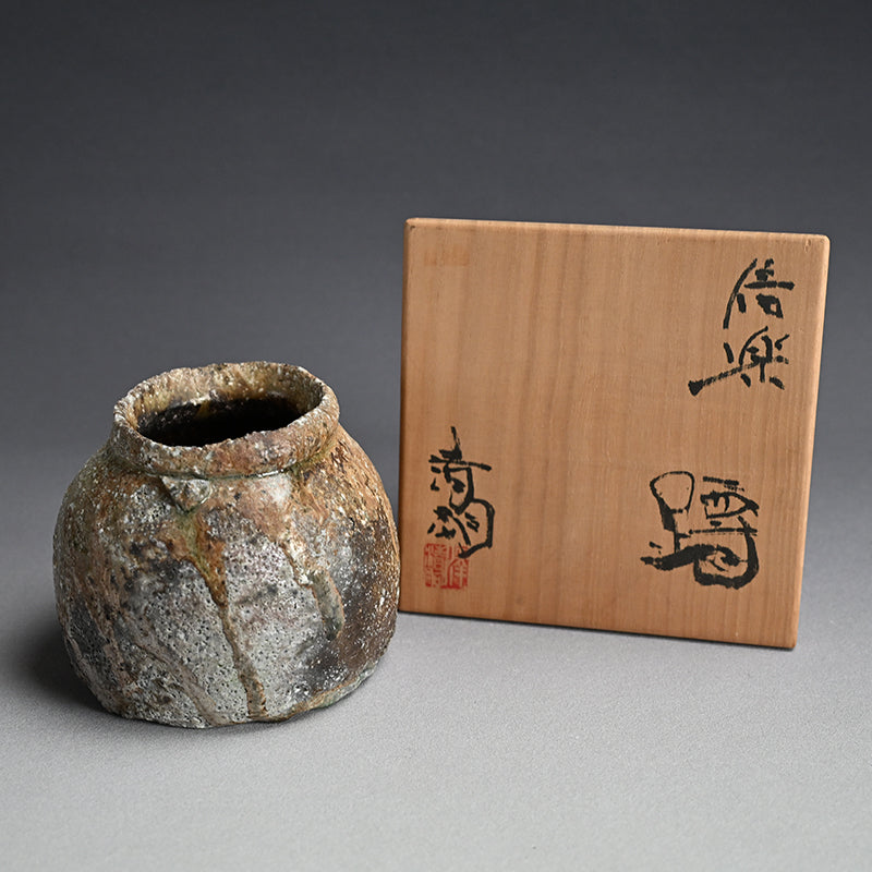 A Stellar Crusty Shigaraki Uzukumaru ー澤 清嗣 "信楽 蹲"