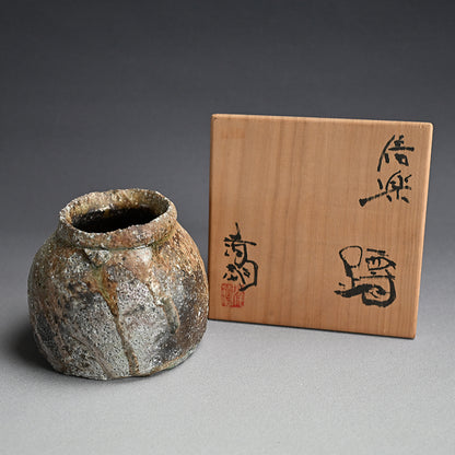 A Stellar Crusty Shigaraki Uzukumaru ー澤 清嗣 "信楽 蹲"
