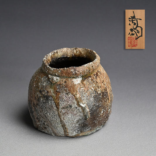 A Stellar Crusty Shigaraki Uzukumaru ー澤 清嗣 "信楽 蹲"
