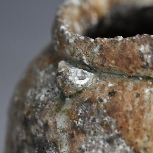 A Stellar Crusty Shigaraki Uzukumaru ー澤 清嗣 "信楽 蹲"