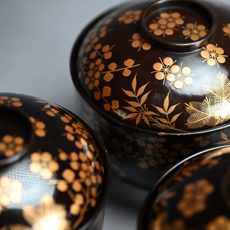 Boxed Set 10 Edo p Kaiseki Lacquer Soup Bowls