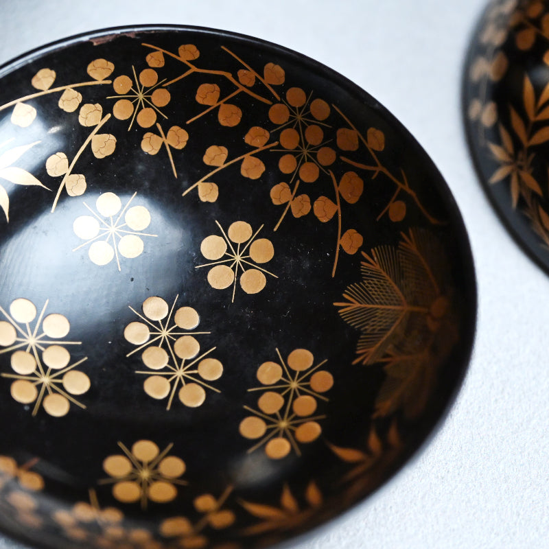 Boxed Set 10 Edo p Kaiseki Lacquer Soup Bowls