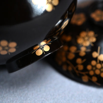 Boxed Set 10 Edo p Kaiseki Lacquer Soup Bowls