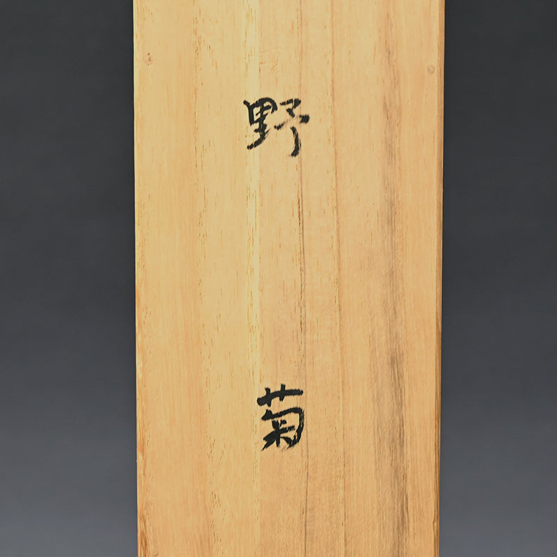Hanging Scroll, Wild Chrysanthemum Sketch ー野村 耕 "野菊"