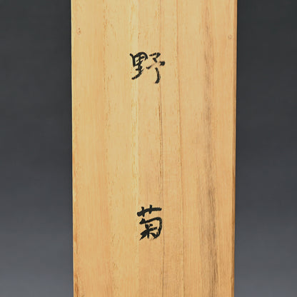 Hanging Scroll, Wild Chrysanthemum Sketch ー野村 耕 "野菊"